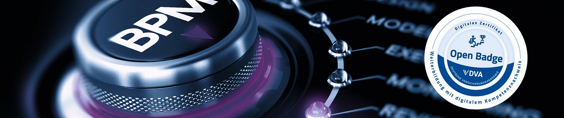 Prozessmanager (DVA)