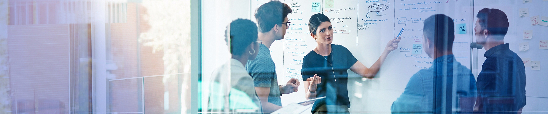 Grundlagen des Controllings und der Unternehmenssteuerung in Versicherungsunternehmen