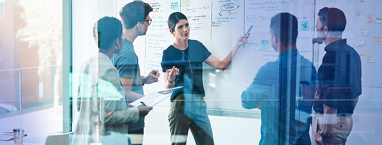 Grundlagen des Controllings und der Unternehmenssteuerung in Versicherungsunternehmen