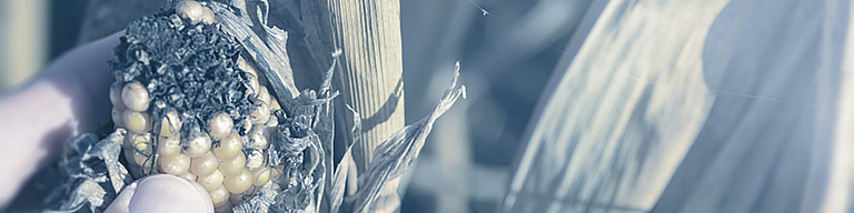 Betriebsunterbrechung - Ertragsausfall