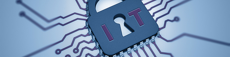 Prüfung der Geschäftsorganisation durch Revision und Compliance