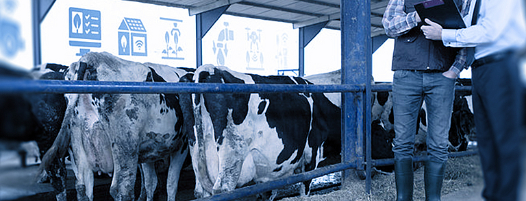 Spezialist/-in Versicherung landwirtschaftlicher Risiken (DVA)