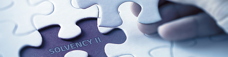 Effiziente und sichere Umsetzung von Solvency II