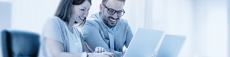 Praktische Einführung in die Interne Revision - Online