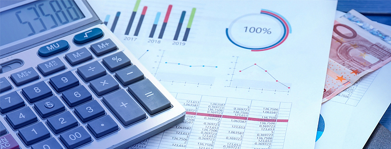 Finanzsteuerung in Versicherungsunternehmen – Kapitalanlageprozesse erfolgreich managen