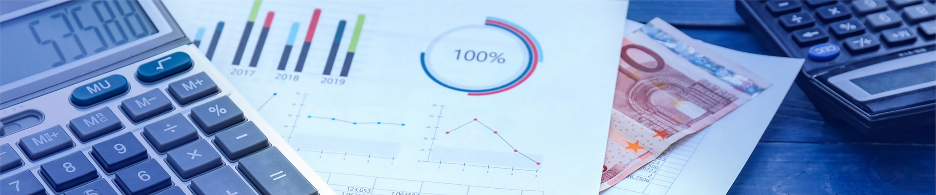 Finanzsteuerung in Versicherungsunternehmen – Kapitalanlageprozesse erfolgreich managen