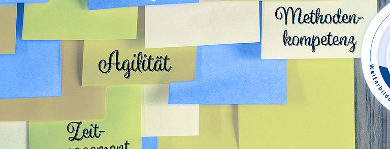 Geprüfte/-r Projektleiter/-in (DVA)