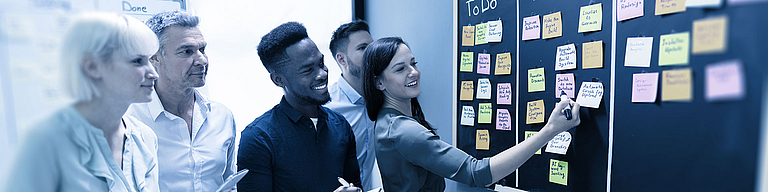 Führung im Projekt - Online-Training