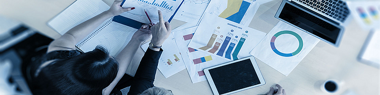 Certified Business Analyst - Insurance Management (DVA)