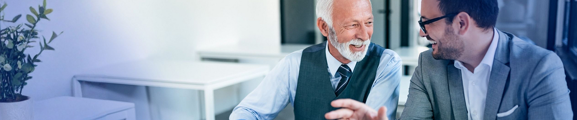 Berater/-in für Unternehmensnachfolge (DVA)