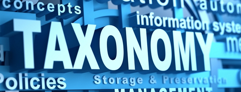 EU-Taxonomiekonformität für die Nichtlebensversicherung