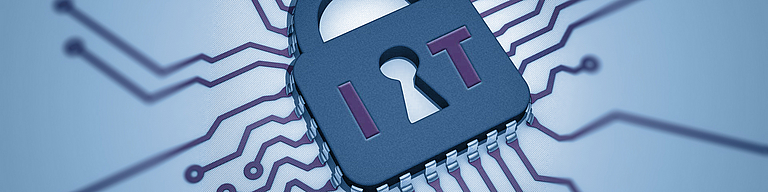 Prüfung der Geschäftsorganisation durch Revision und Compliance - Online