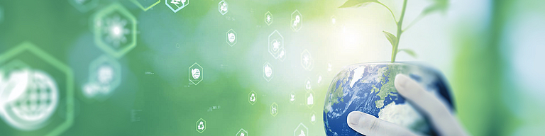 Certified Sustainability Officer (DVA)