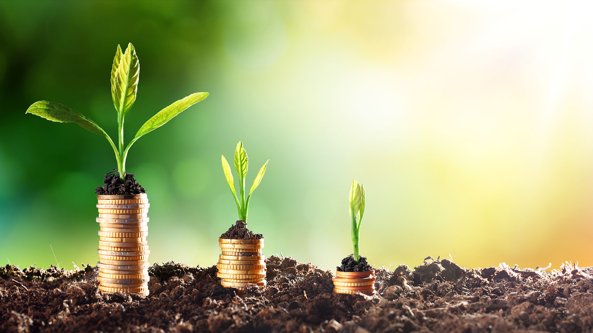 Online Seminar Nachhaltige Finanzen und Kapitalanlagen in Versicherungsunternehmen
